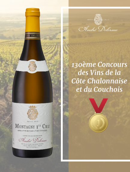 Vins de la Côte Chalonnaise - Maison André Delorme - Rully - Montagny 1er Cru Médaille d'Or Concours des Vins